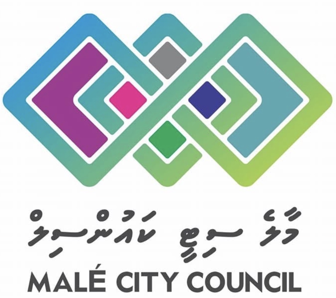 Male City Council
